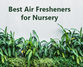 Best Air Fresheners for Nursery