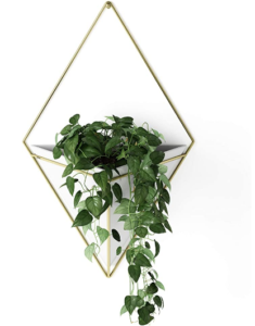 Wall Hanging Planter Stand 