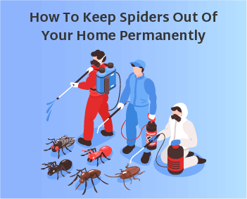 How to Keep Spiders Out of Your Home Permanently feature