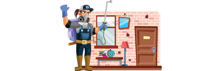 Natural pest control strategies for your home